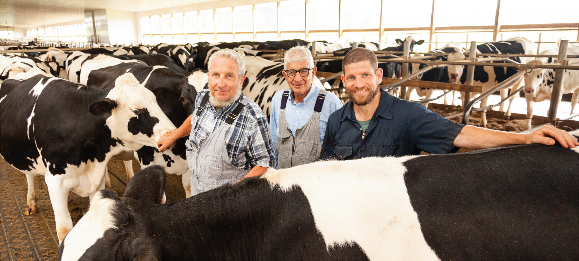 Ben Loewith and family with cows on the farm