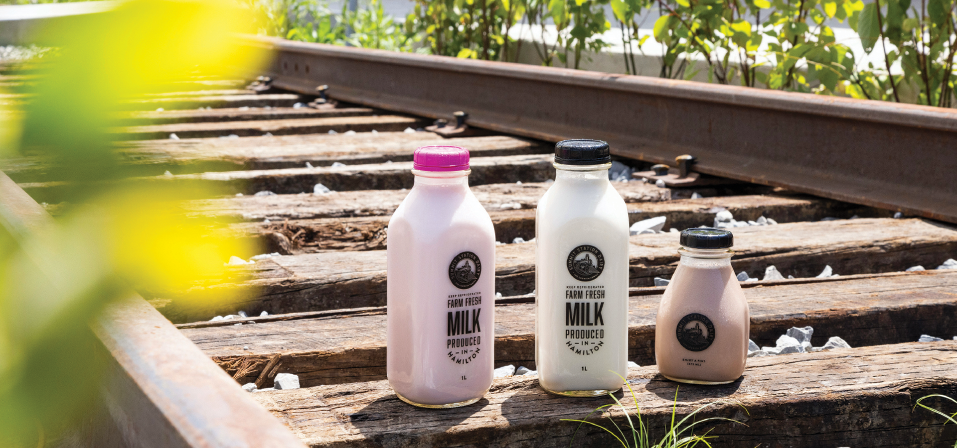 Strawberry, whole and chocolate milk in various size bottles sitting on the old train tracks at Summit Station.